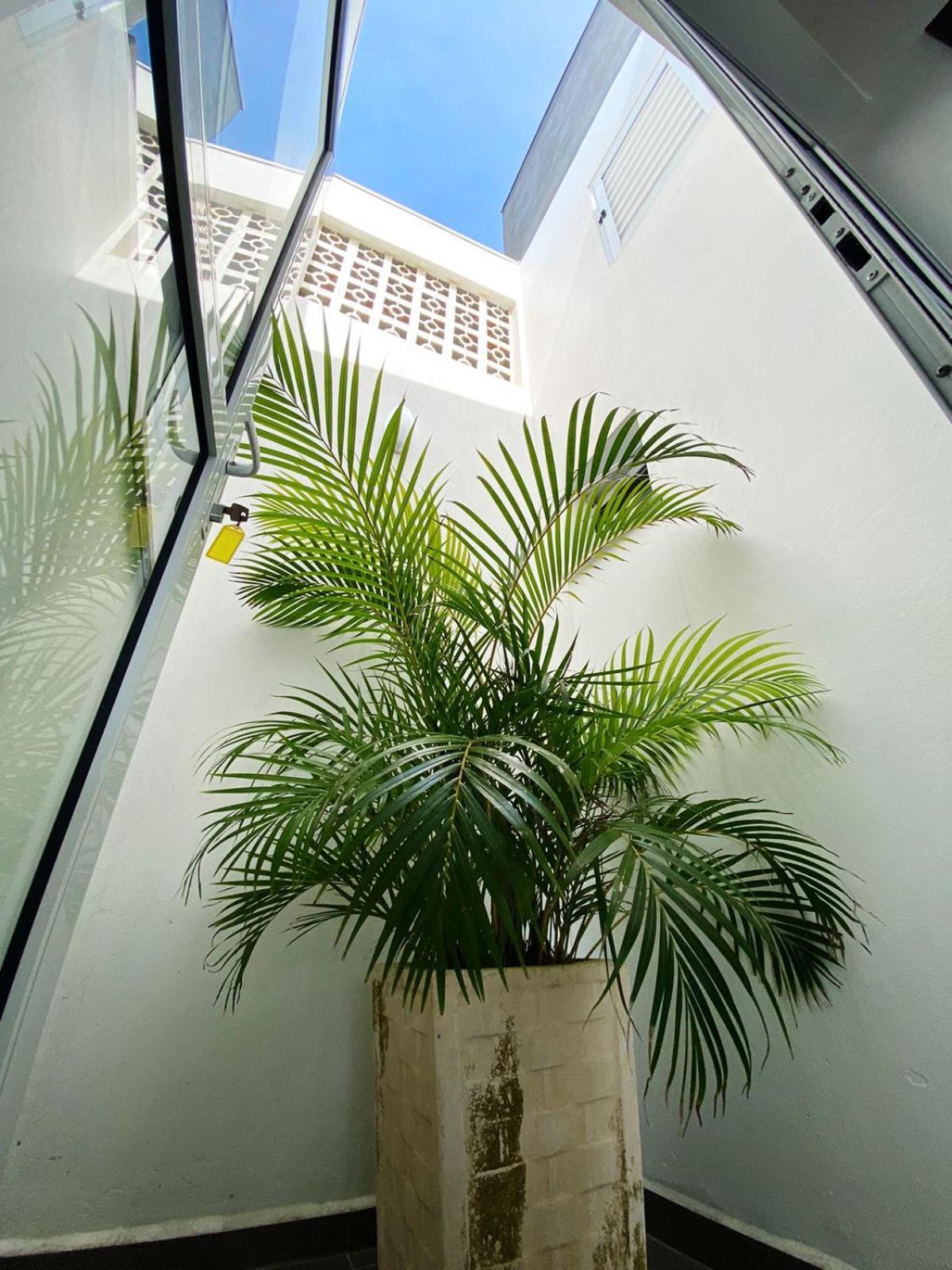 Sobrados Molhes Apartment Passo de Torres Exterior foto